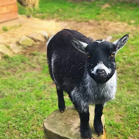 Feriehus Self Catering - The Garden House *